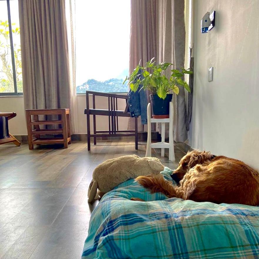 Mannoor Farms Mountain View Stays, Munnar Luaran gambar